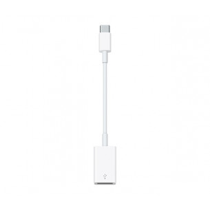 USB-C to USB Adapter