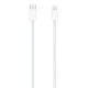 Apple Magic Mouse USB- C Multi Touch Surface