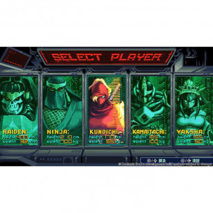 The Ninja Saviors: Return of the Warriors - EU