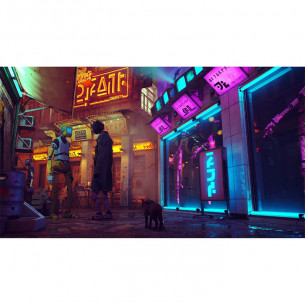 Stray Stray