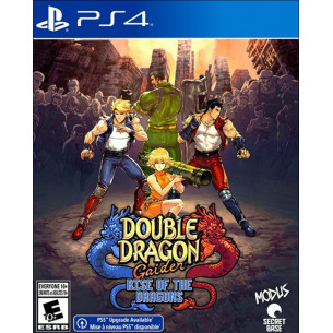 Double Dragon Gaiden: Rise of the Dragons