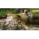 Pikmin 1+2