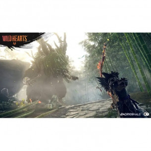 Wild Hearts Wild Hearts