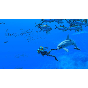 Endless Ocean Luminous