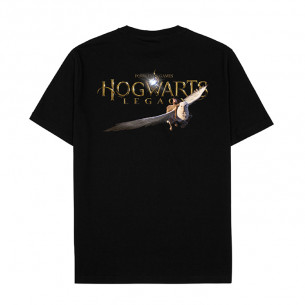 Áo thun Hogwarts Legacy
